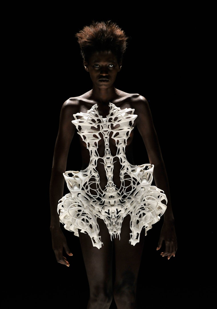 Iris van Herpen's 3-D Printed Ice Dress is So Gorgeous You Almost Won't ...