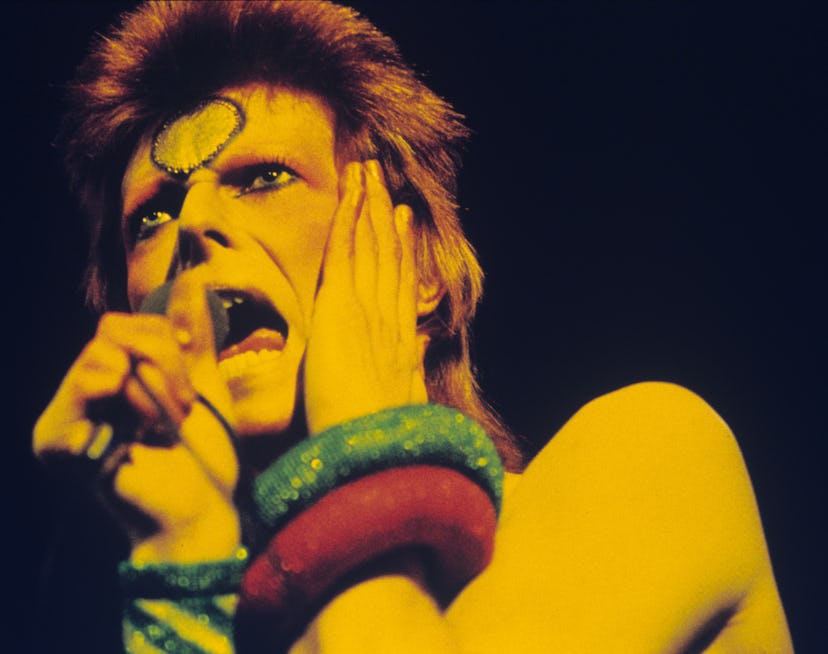The Style Lessons I Learned From David Bowie & His Alien-like Magic