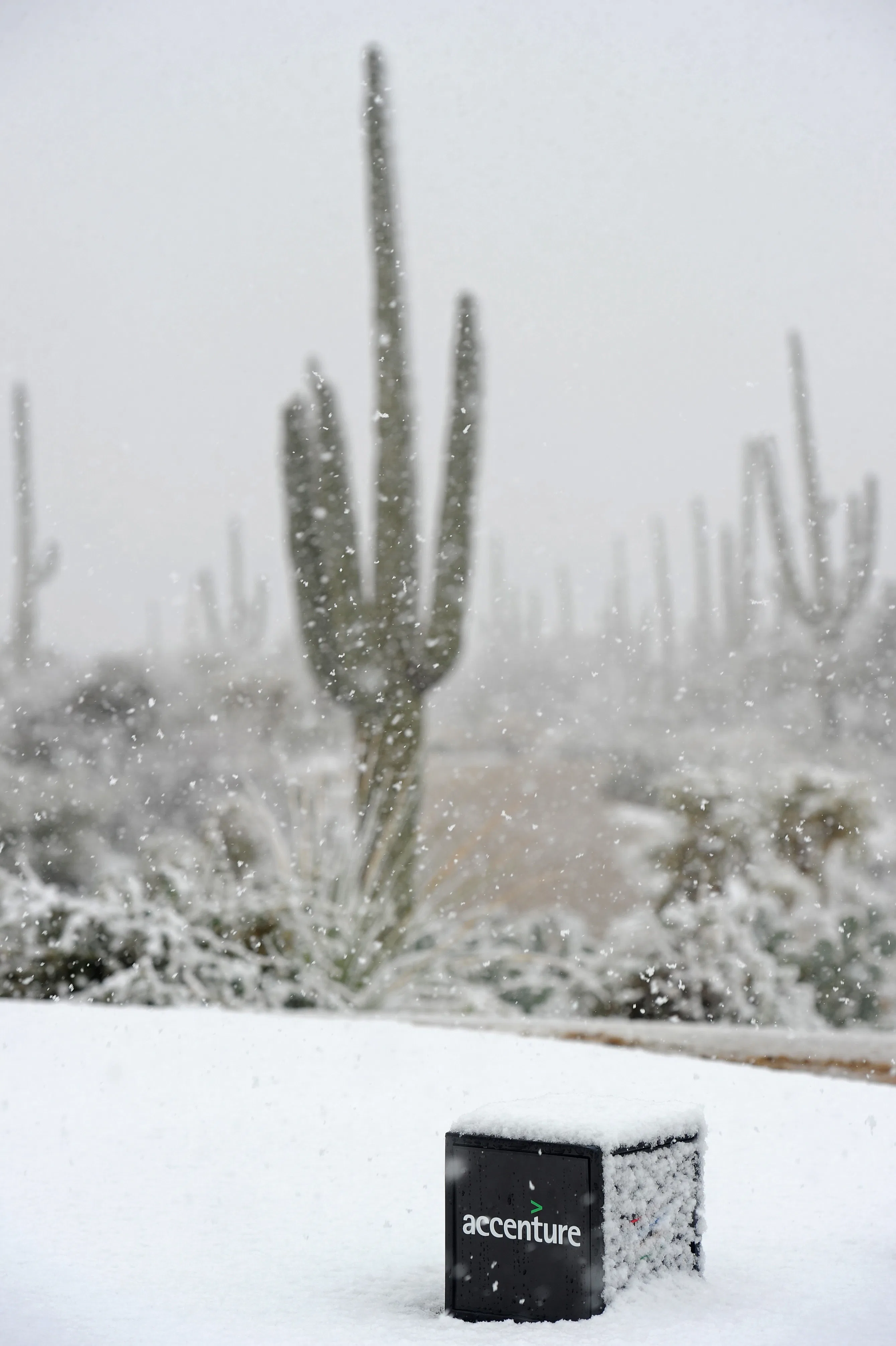 We re Still Sad About Pluto 43 Things Only Flagstaff Arizona Natives 