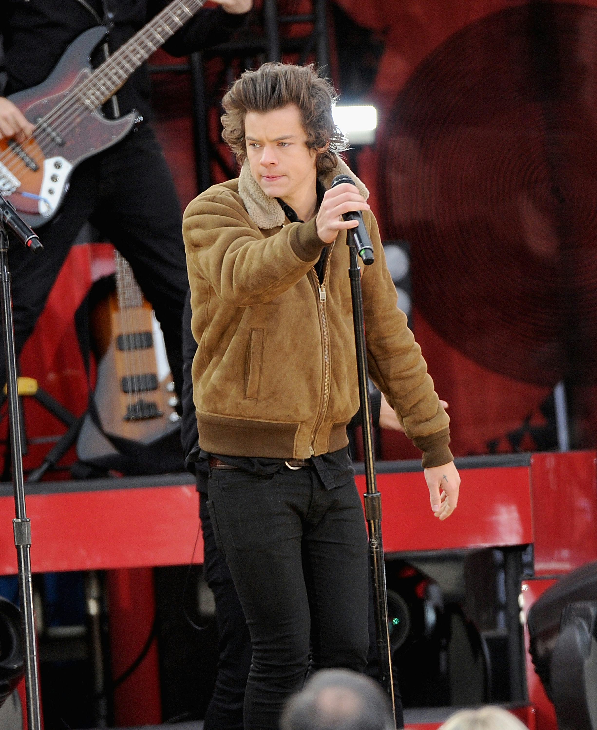 Harry Styles' Hair In 2013 Was All About Bedhead \u0026 Volume — PHOTOS, image size:2451x3000