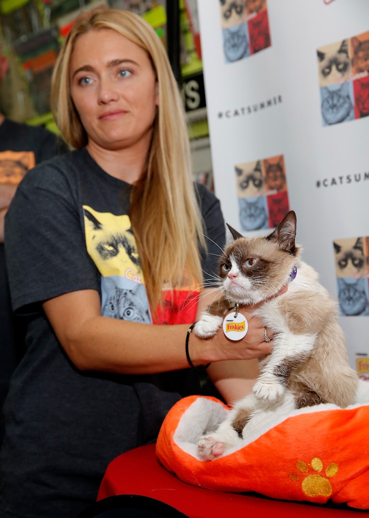 What Is Grumpy Cats Real Name And More Questions For The Star Of Lifetimes New Christmas Movie