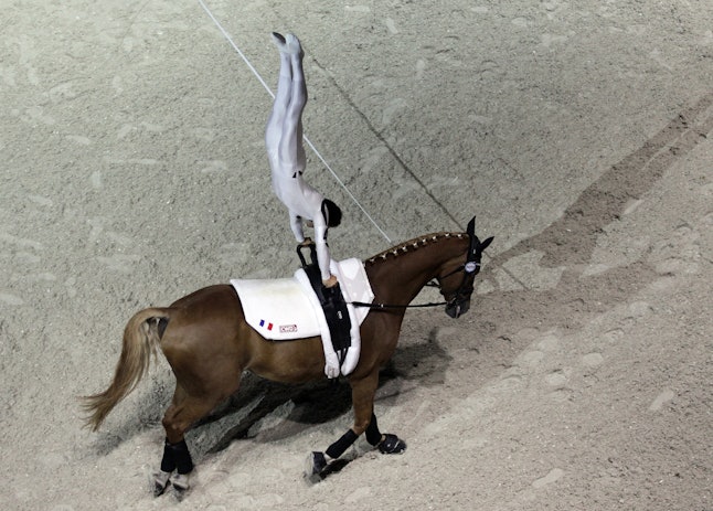 horse met gala outfit