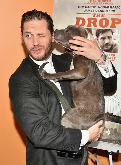 If Tom Hardy Never Stars In A Romantic Comedy Again It Ll Be Too Soon