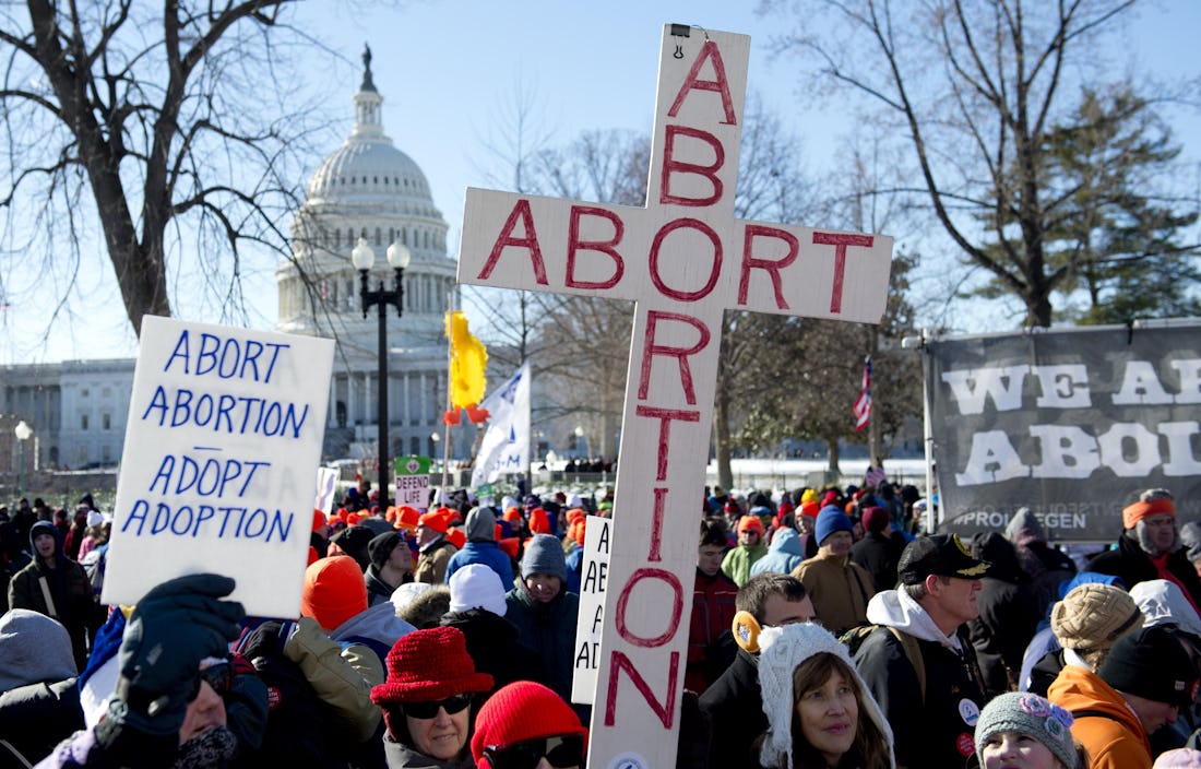 The First Reproductive Rights Textbook For Law Students Is Here & It ...