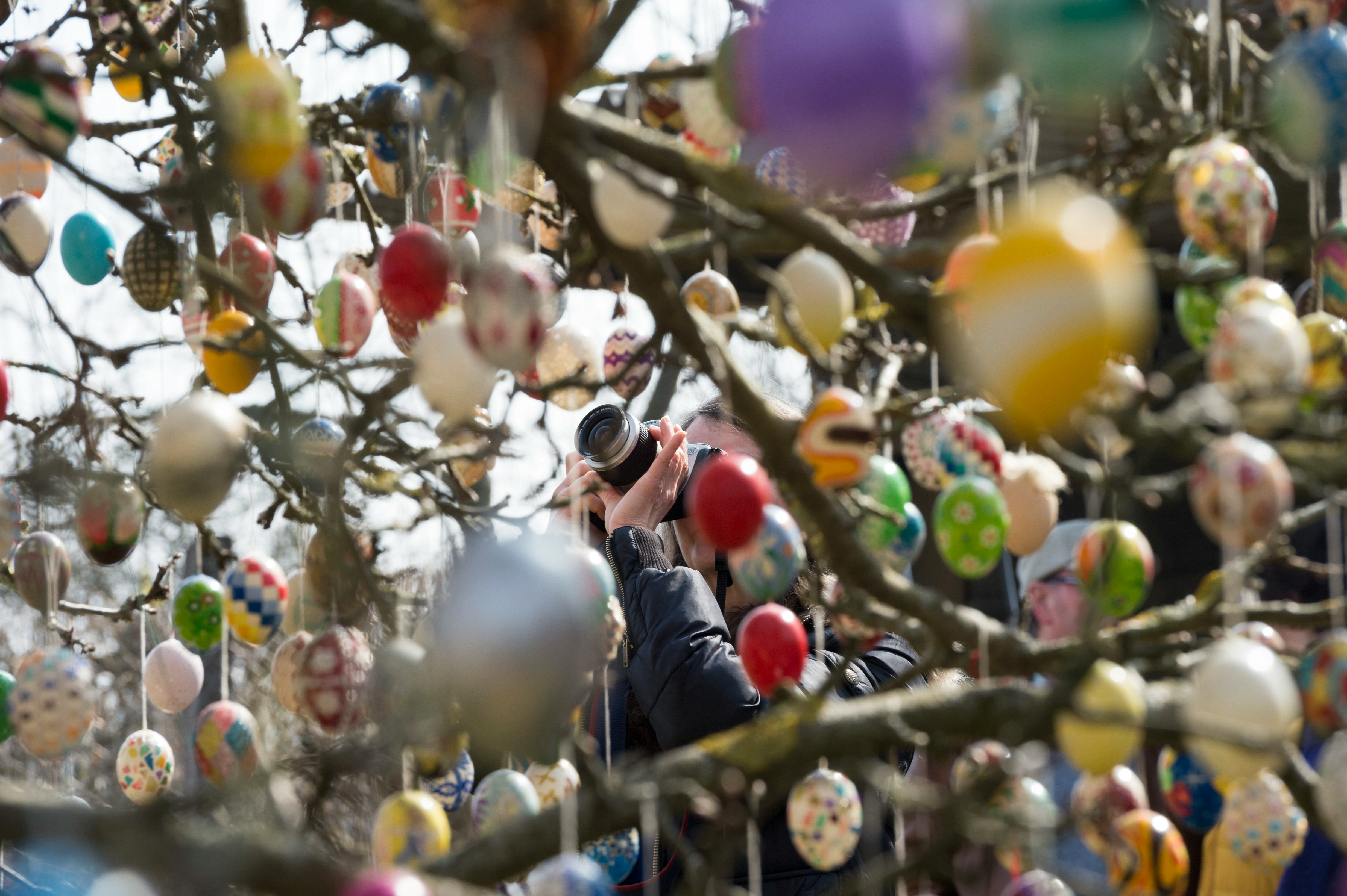 7 NonReligious Easter Quotes To Share This Holiday
