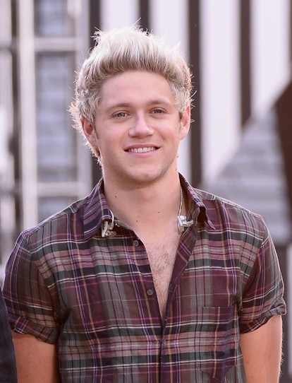 Did Niall Horan Dye His Hair Brown Let S Examine The Evidence — Photos