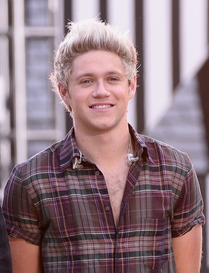Did Niall Horan Dye His Hair Brown? Let's Examine The Evidence — PHOTOS