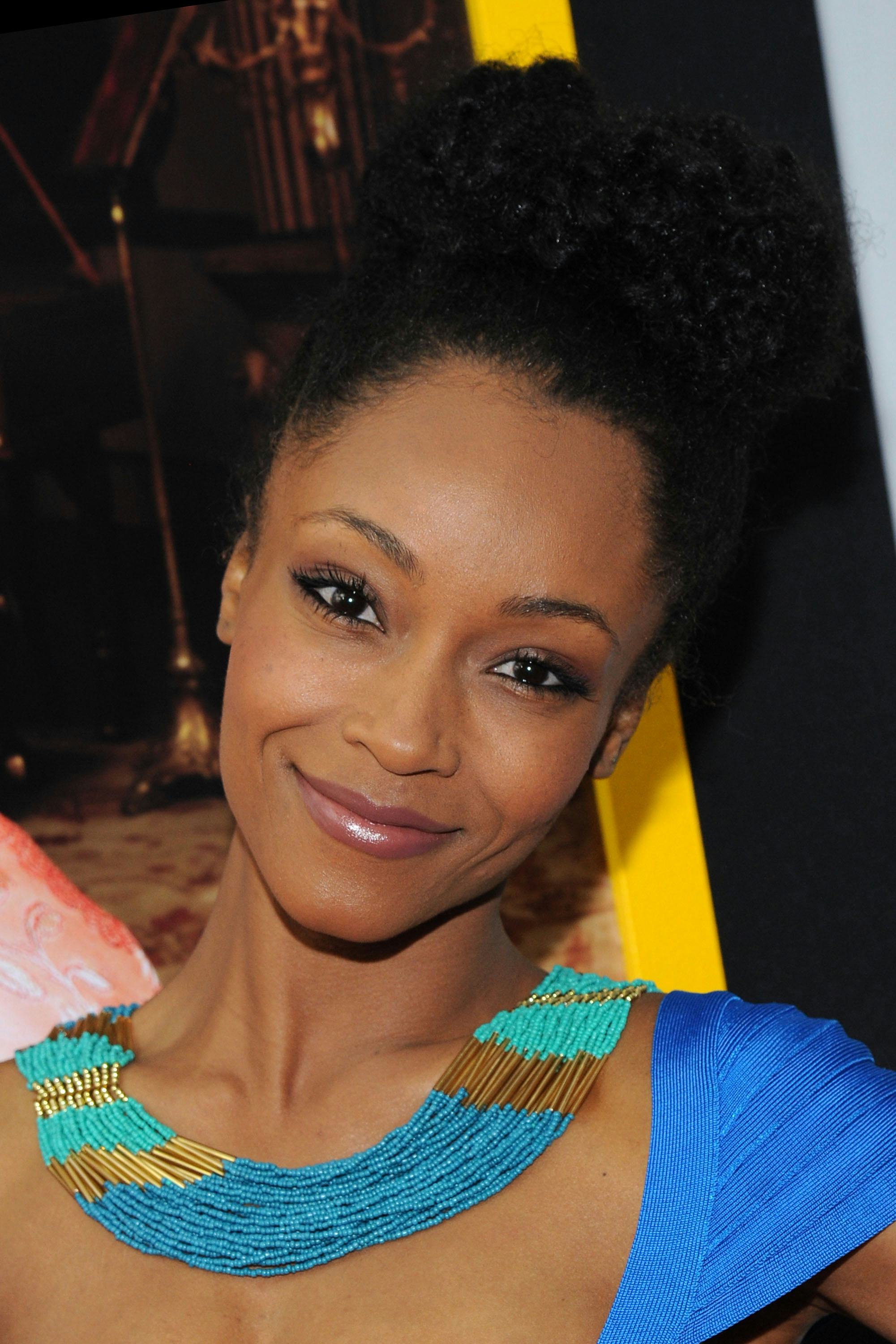 Whitney Houston Biopic Casts Yaya DaCosta: Here's Six Things You Need ...