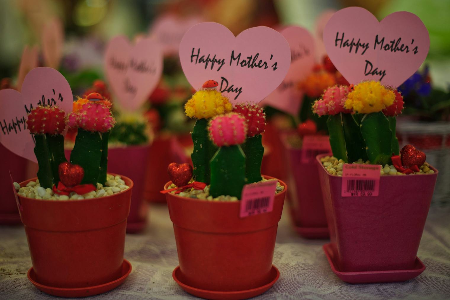 8 First Day Of Spring Celebrations Around The World In Honor Of The ...