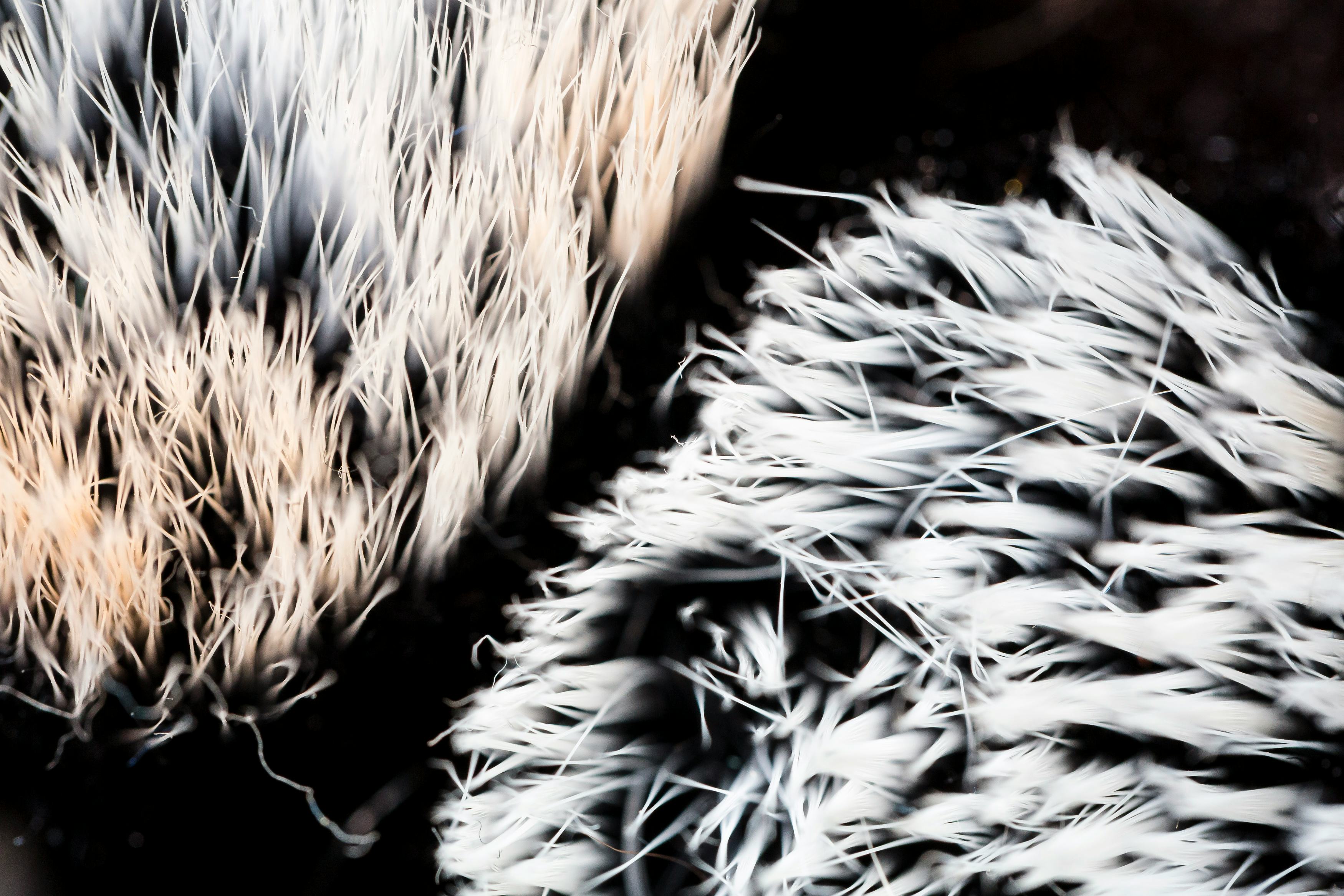 7 Gross Infections You Can Catch From Not Washing Your Makeup Brushes