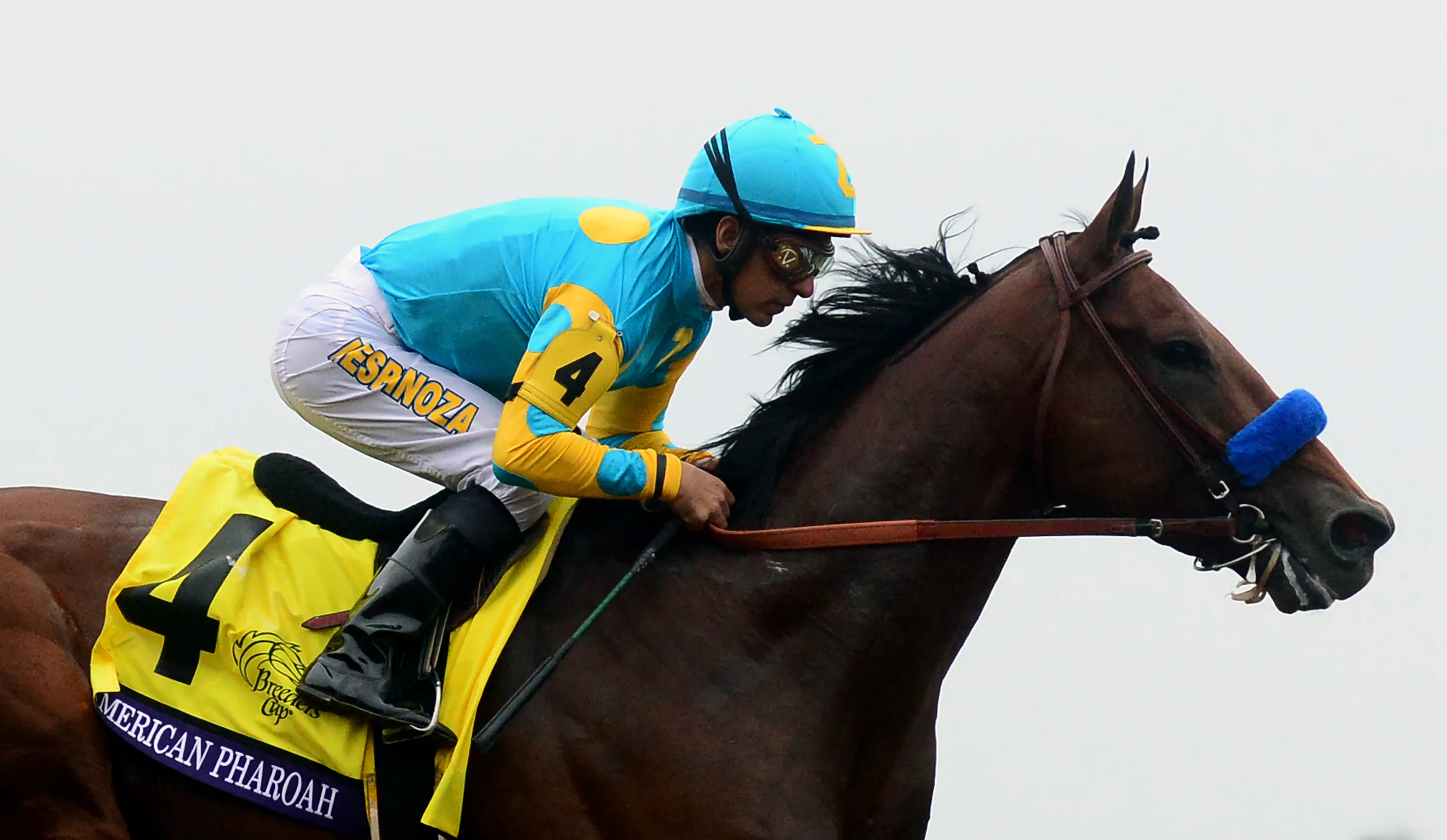 derby favorites