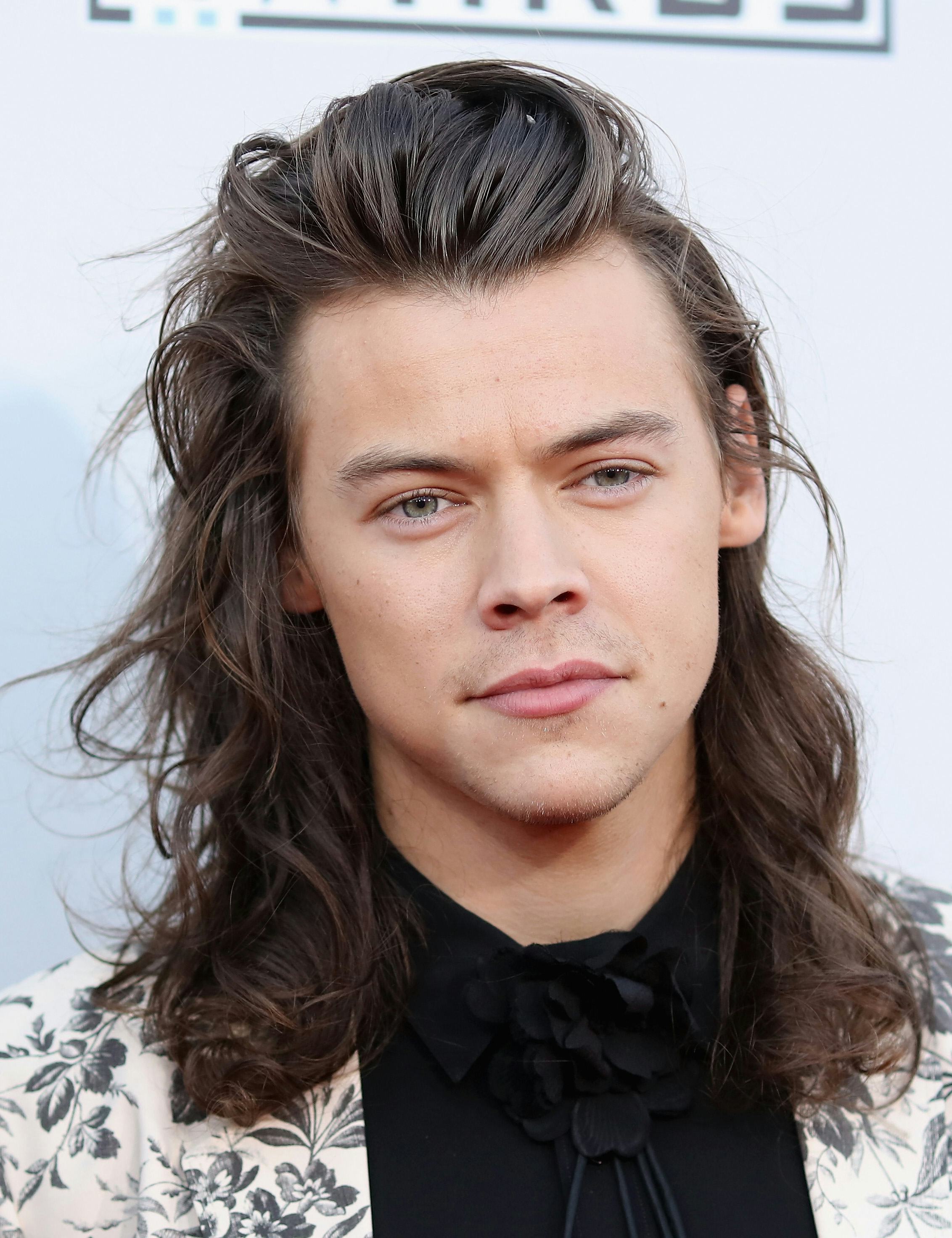 Harry Styles' Long Hair Just Made An Incredible, Unexpected Comeback