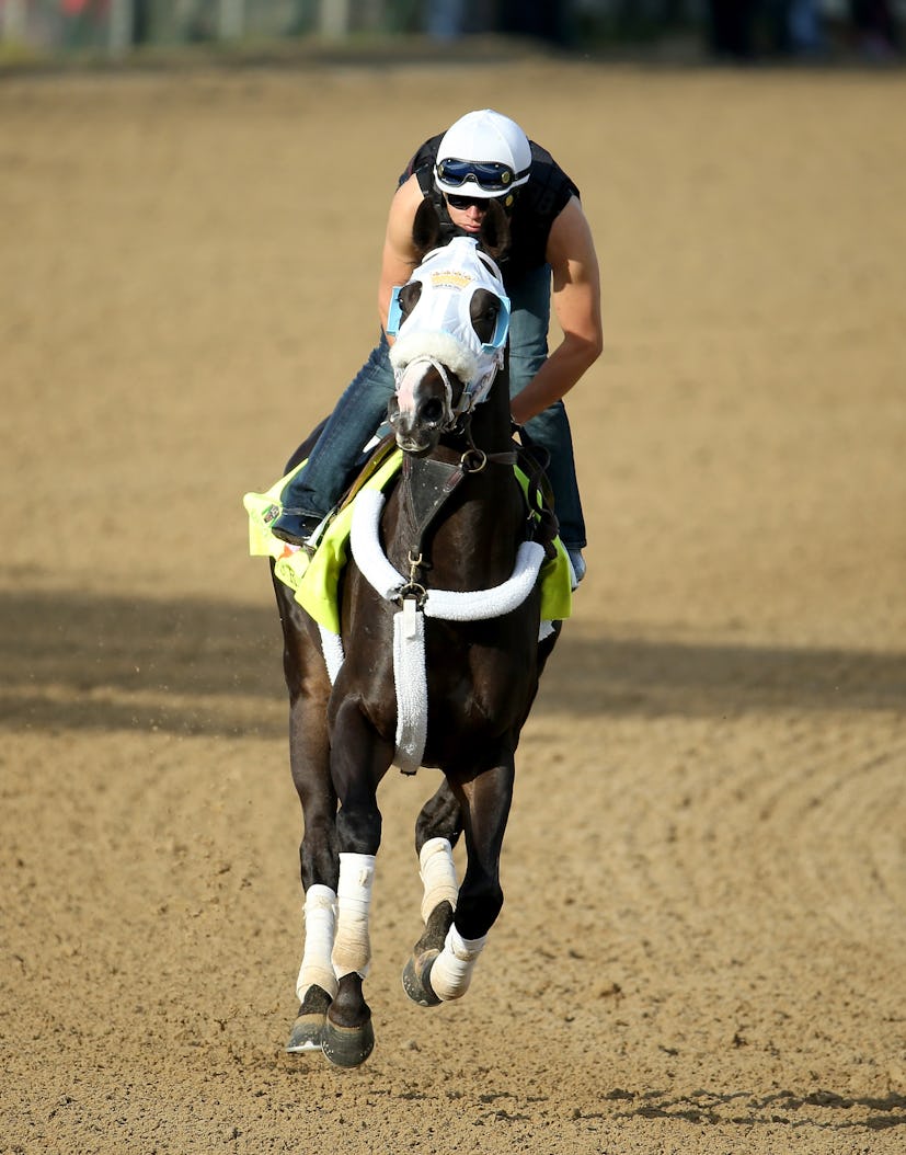 Are There Mares At The Kentucky Derby? It's Not Exactly A Gender