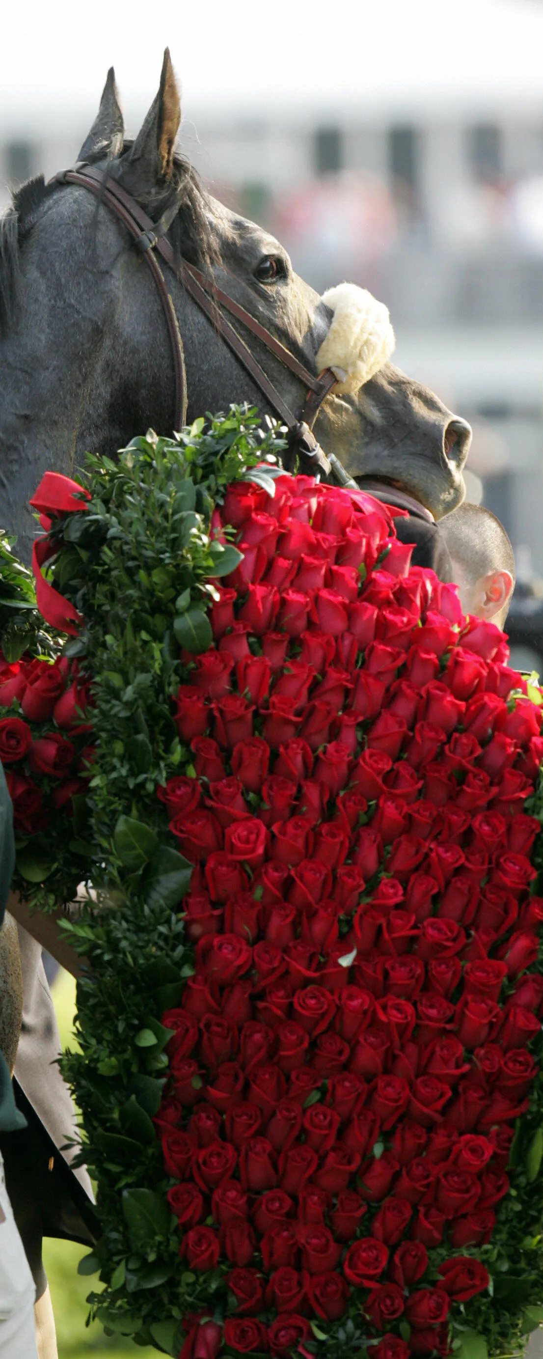 7 Reasons Watching The Kentucky Derby Is Totally The Best Way To Spend The Weekend
