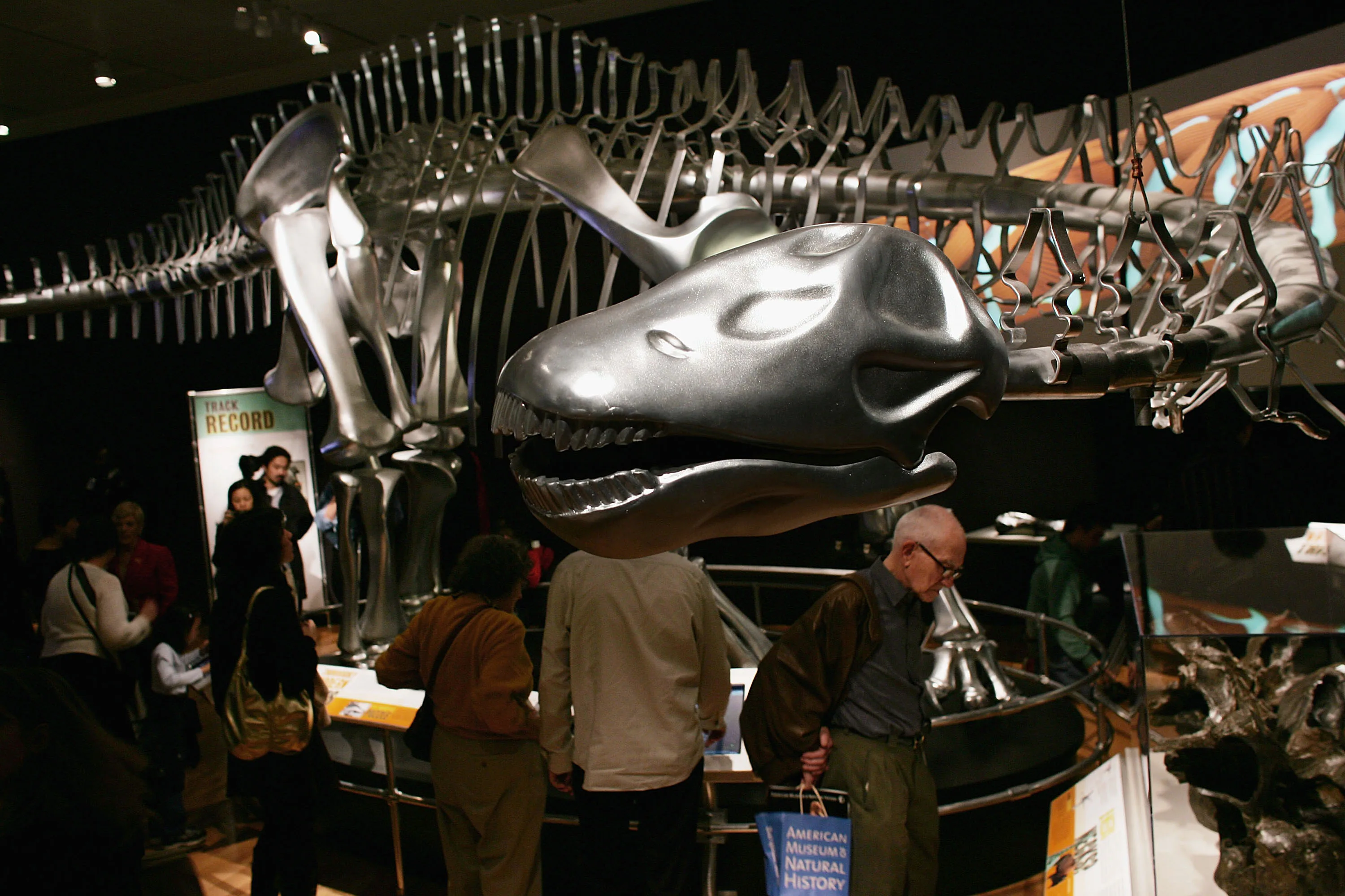 The Brontosaurus Is Back, Baby, After A Century-Long Battle With The ...