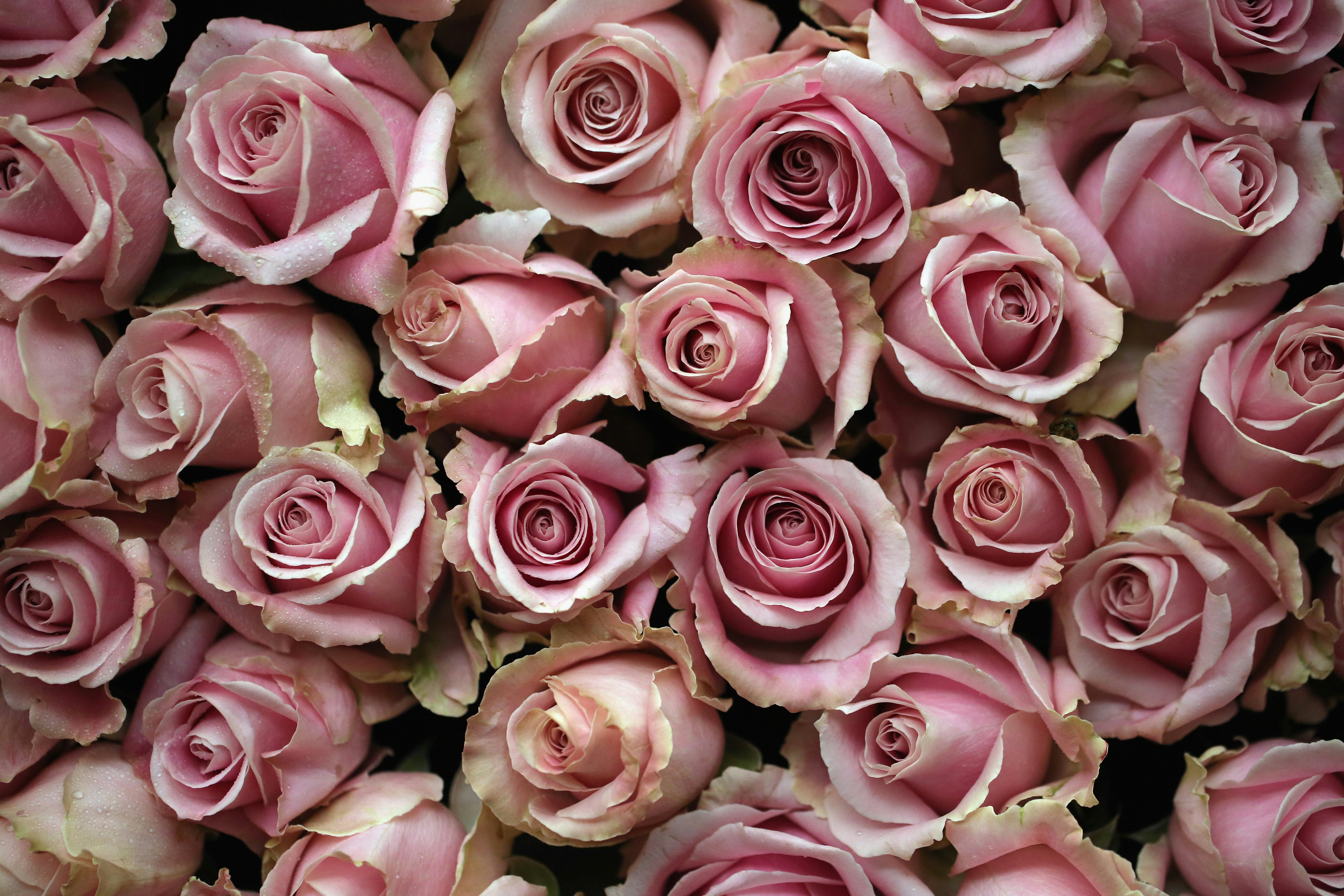 What Scents Attract Bugs? Avoid These 5 Things This Summer If You Don't