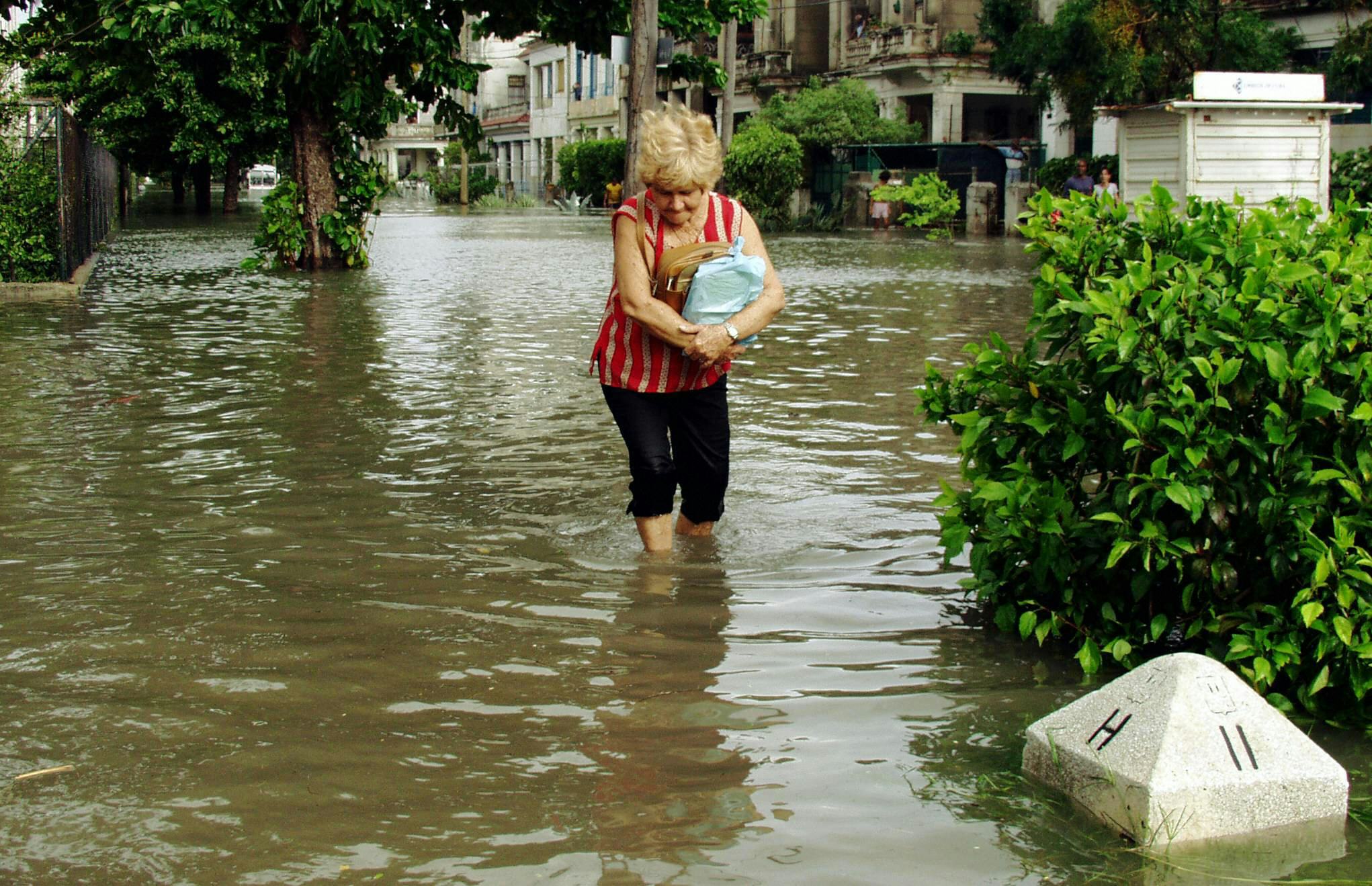 hurricane last year hurricane last year