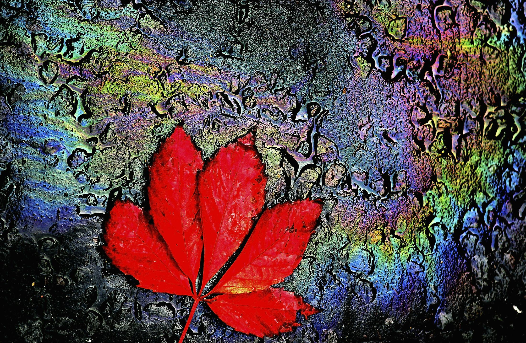 10 Autumn Quotes To Get You Excited About the First Day of Fall