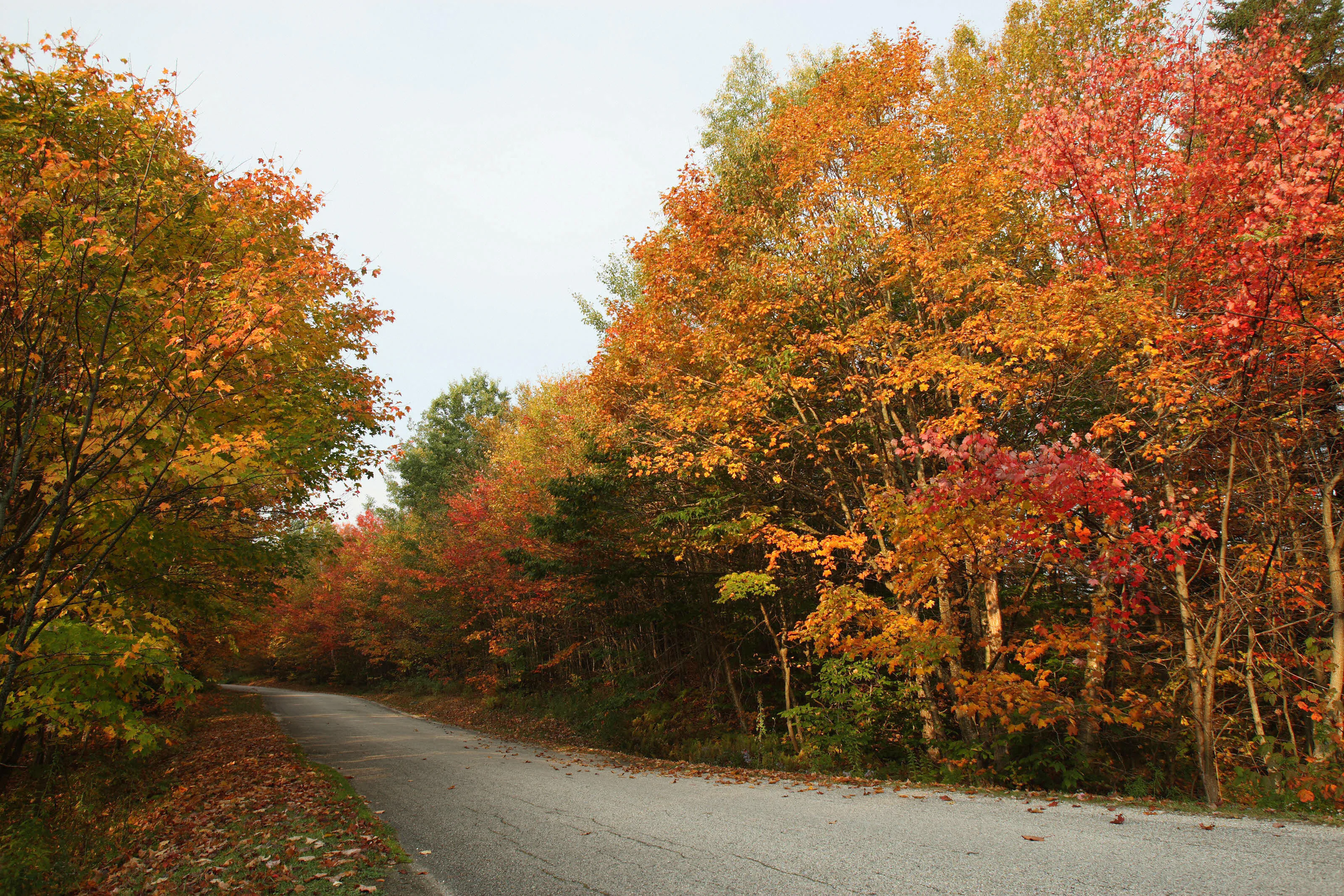 10 Best Places To See Leaves Change In The U.S. Now That It's Finally Fall