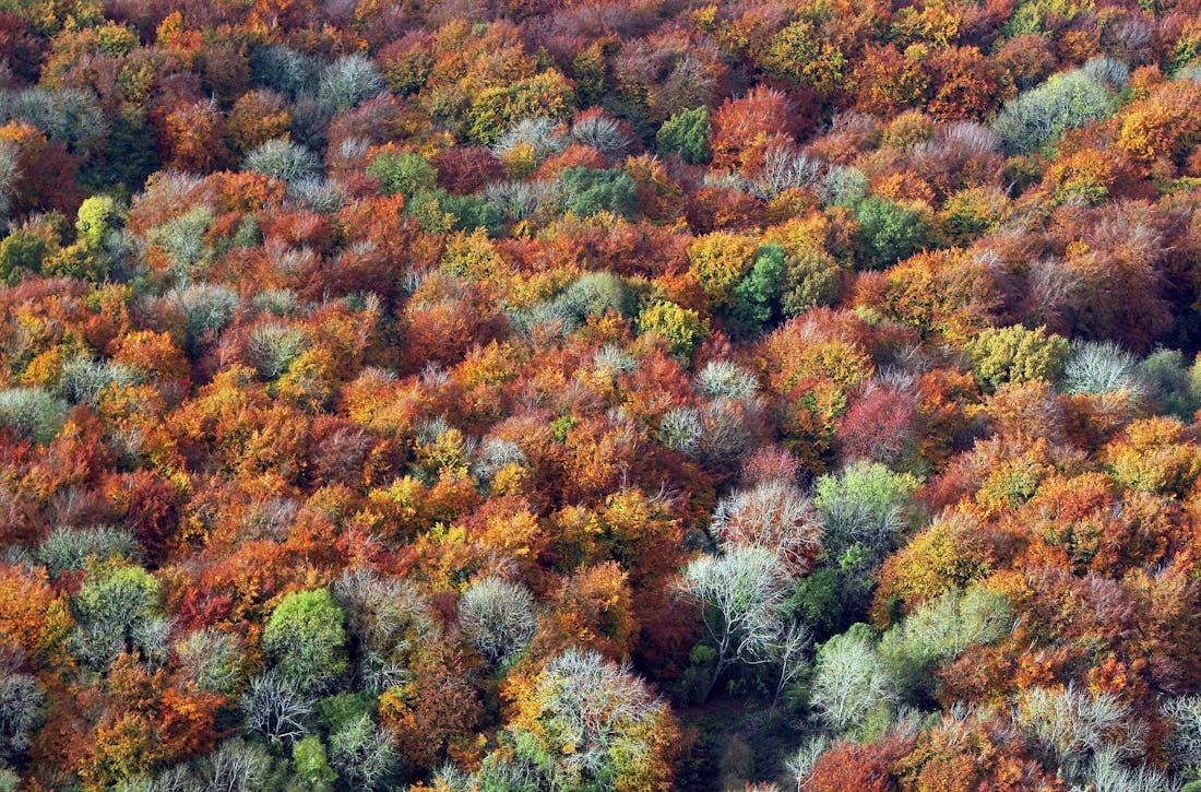 13 Autumn Quotes From Books That'll Make Your Fall Even Cozier