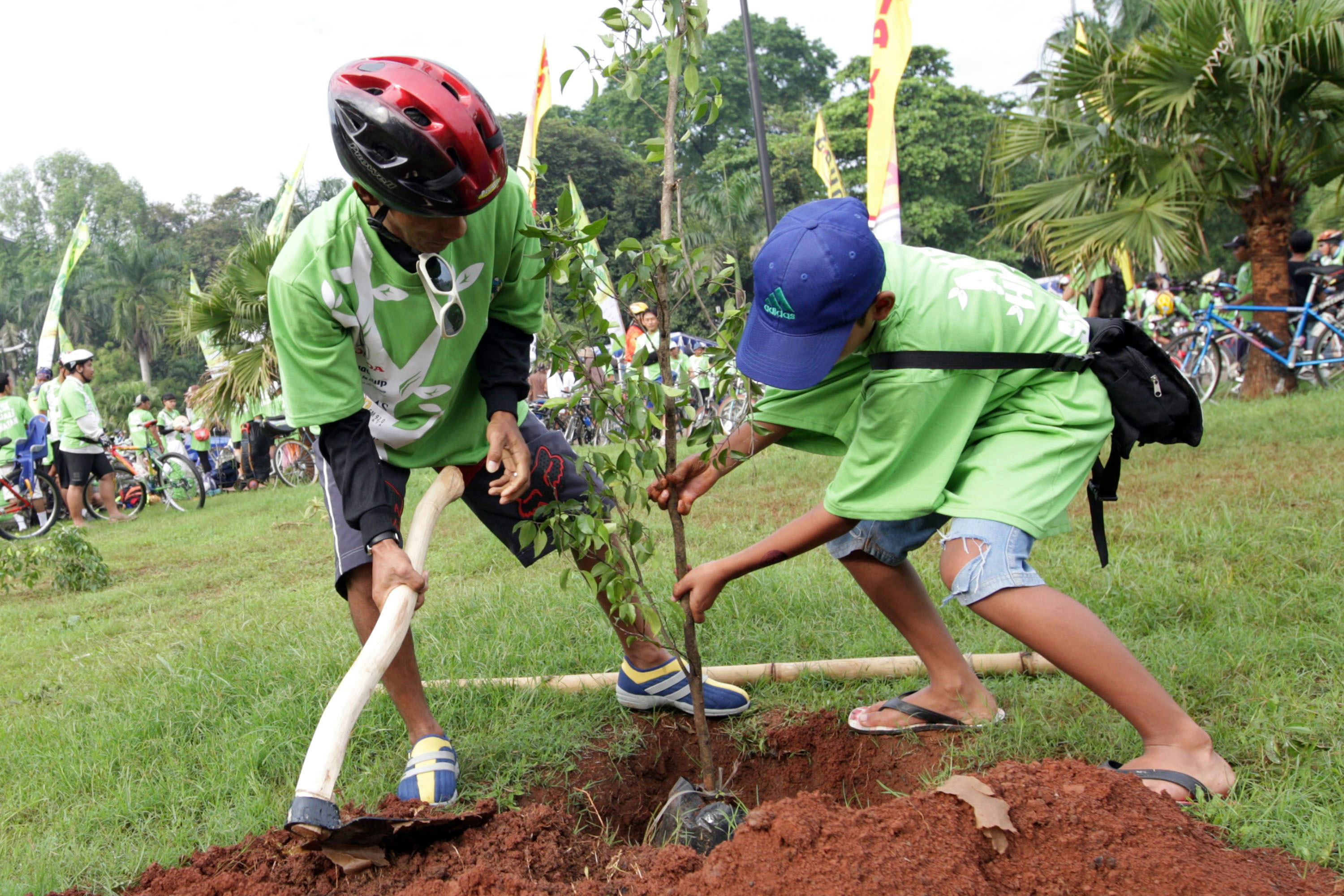 How To Help Plant Trees & Combat Climate Change By Making The World A