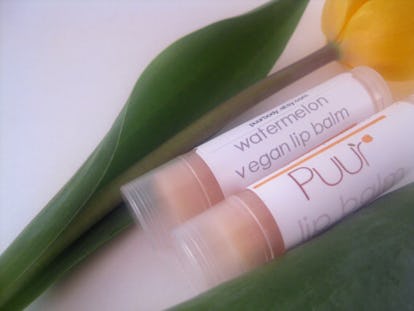 Does Lip Balm Expire? It Depends On What It's Made Out Of Does Lip Balm Expire? It Depends On What It's Made Out Of