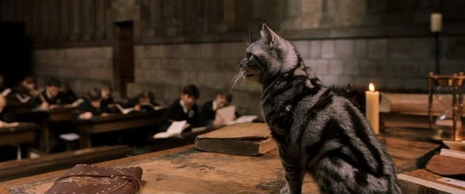 15 Weird Things You Think About After Reading Harry Potter