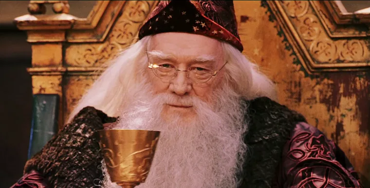 Dumbled How The Harry Potter Characters Looked In The Books Vs. Movies