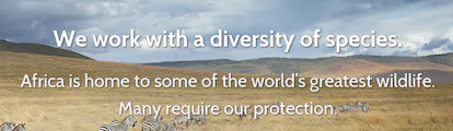 5 Underappreciated Animal Rights Groups You Should Know About, Because ...