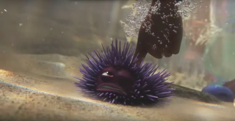 Dory Shells Scene The Best Throwback 'Finding Dory' Trailer Moments Will Remind You That ...