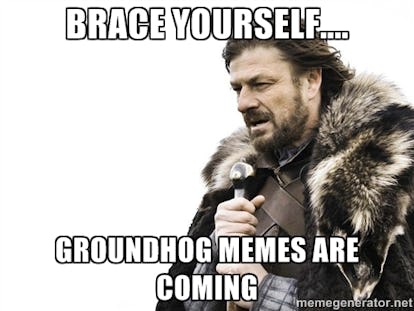 10 Groundhog Day Memes That Celebrate The Ridiculousness Of This Tradition
