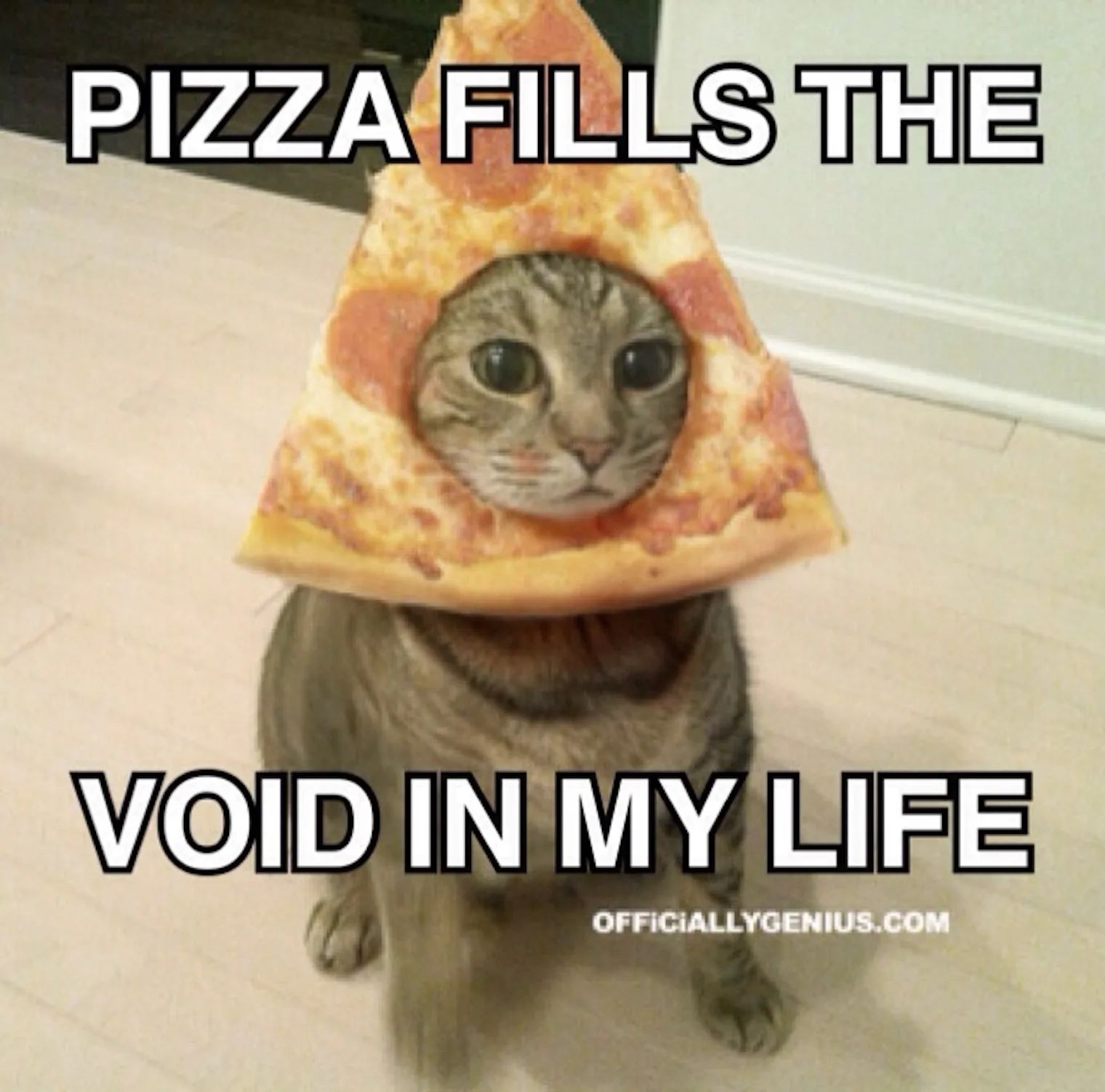 8 Pizza Memes For National Pizza Day That Appropriately Honor The ...