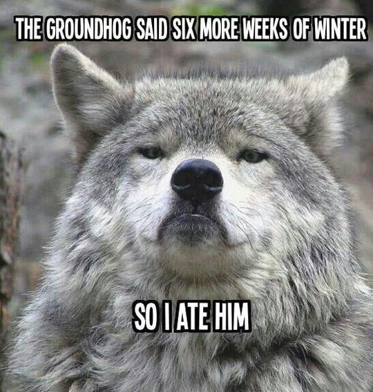 10 Groundhog Day Memes That Celebrate The Ridiculousness Of This Tradition
