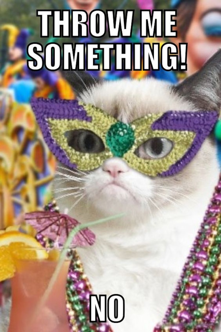 6 Mardi Gras Memes That Capture Just How Wild This Holiday Can Get