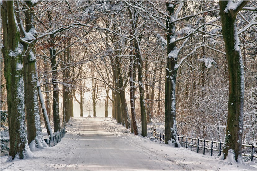 Download 7 Winter Solstice Poems For The First Day Of Winter ...