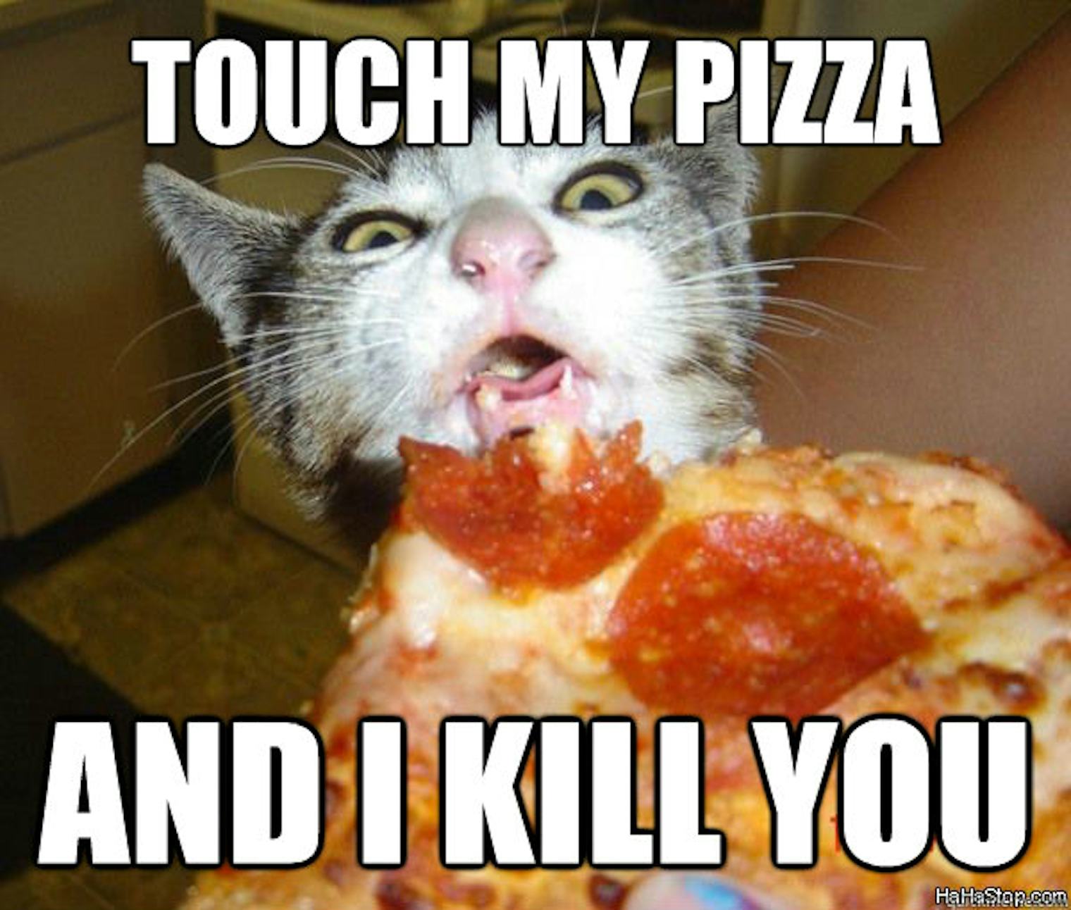 8 Pizza Memes For National Pizza Day That Appropriately Honor The