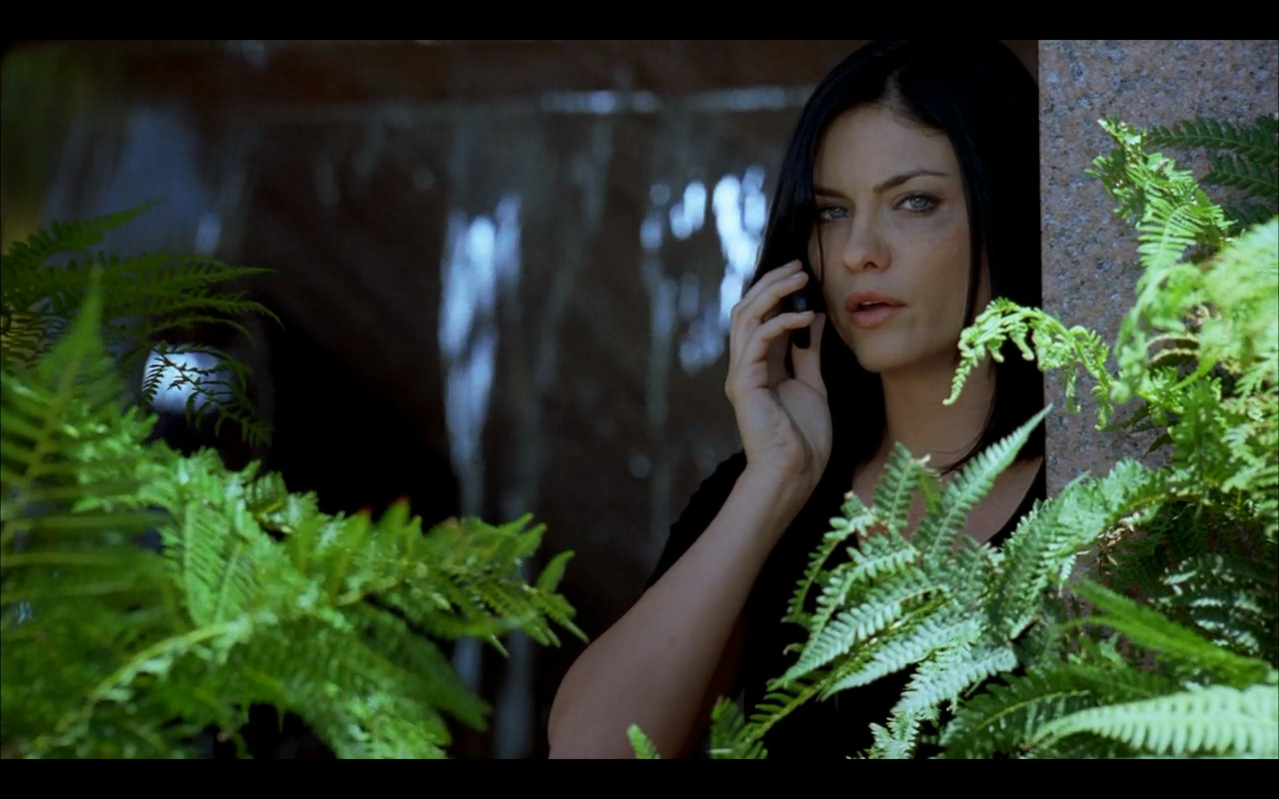 'Prison Break' Sequel In The Works At FOX & Fans Of The Original ...