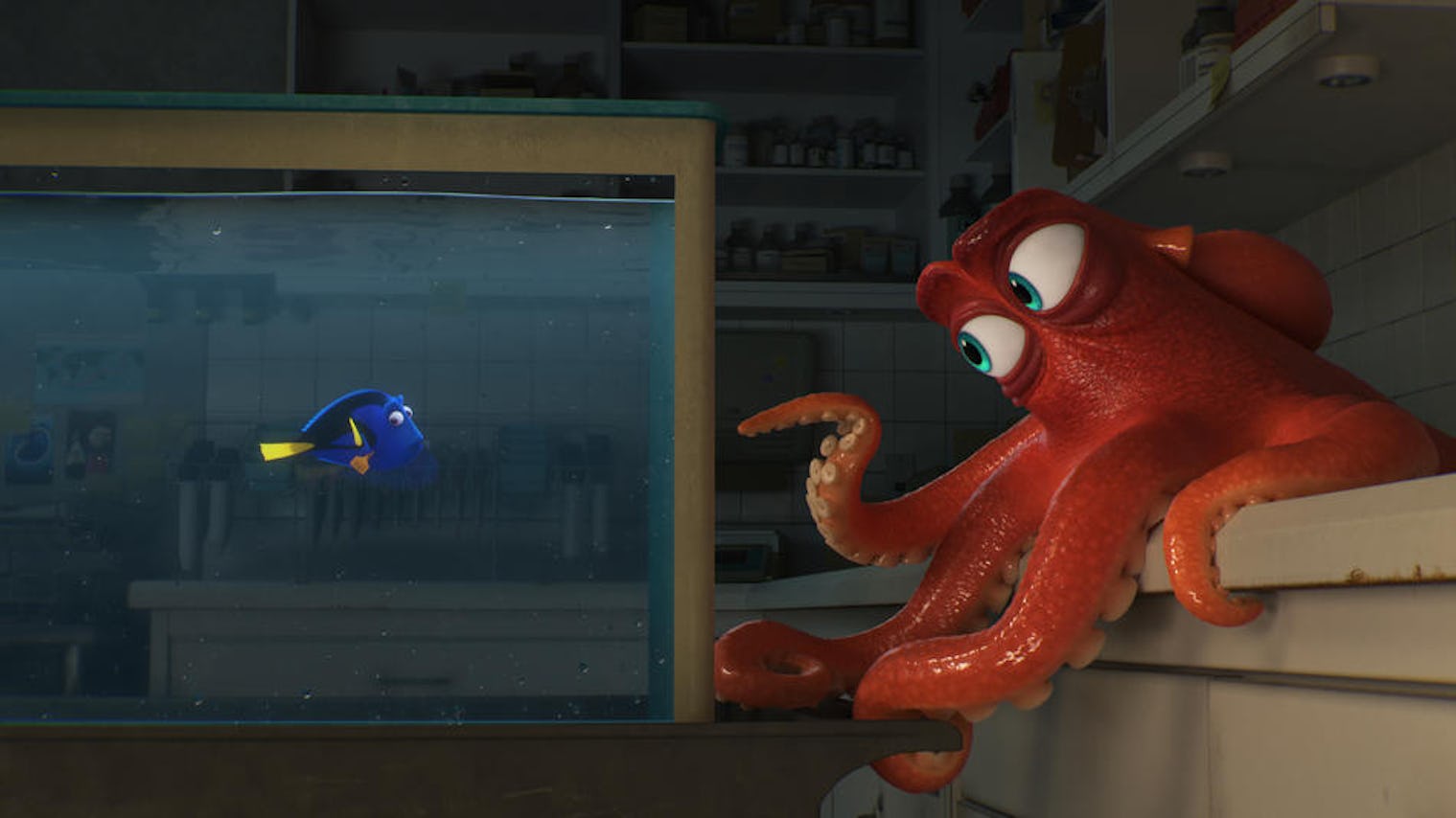 What Is Finding Dory About The Story Should Please Finding Nemo Fans