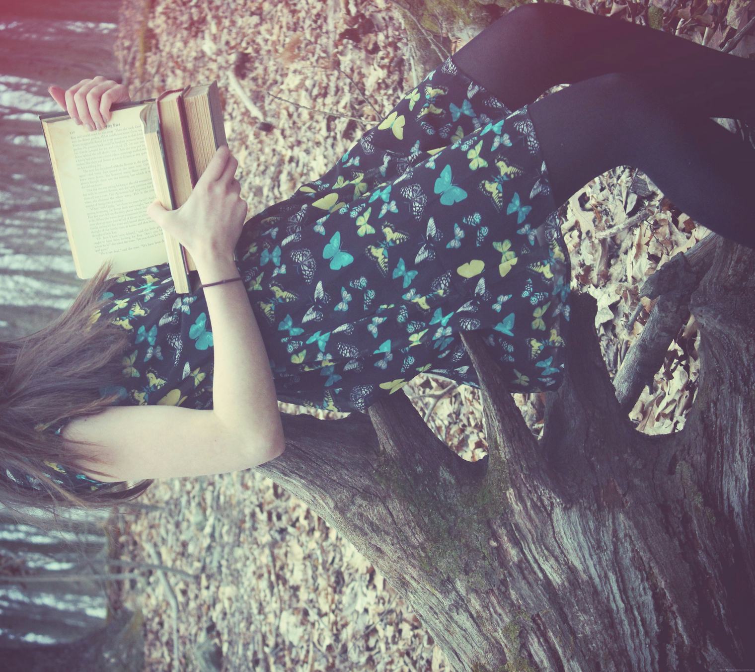 27 Beautiful Quotes On Reading And The Joy That It Brings