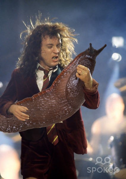Tumblr's "Slug Solos" Replaces Rockstars' Guitars With Slugs & Yeah, It