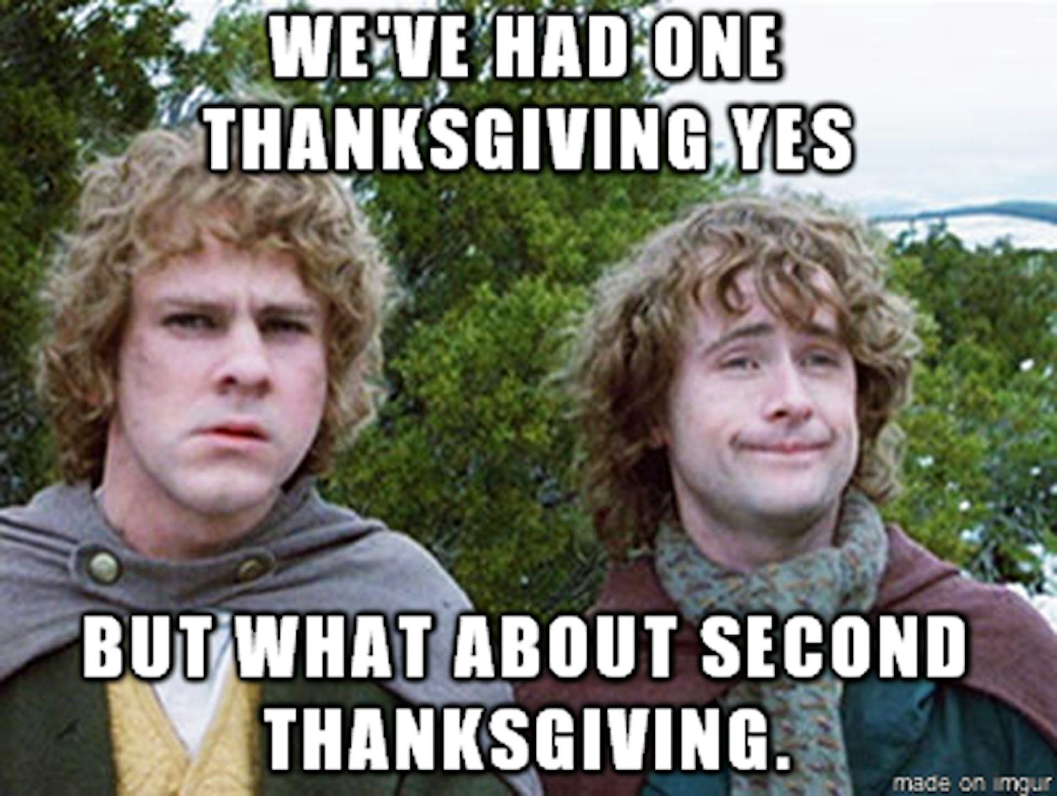 14 Thanksgiving Memes To Help You Survive The Holiday With Your Family