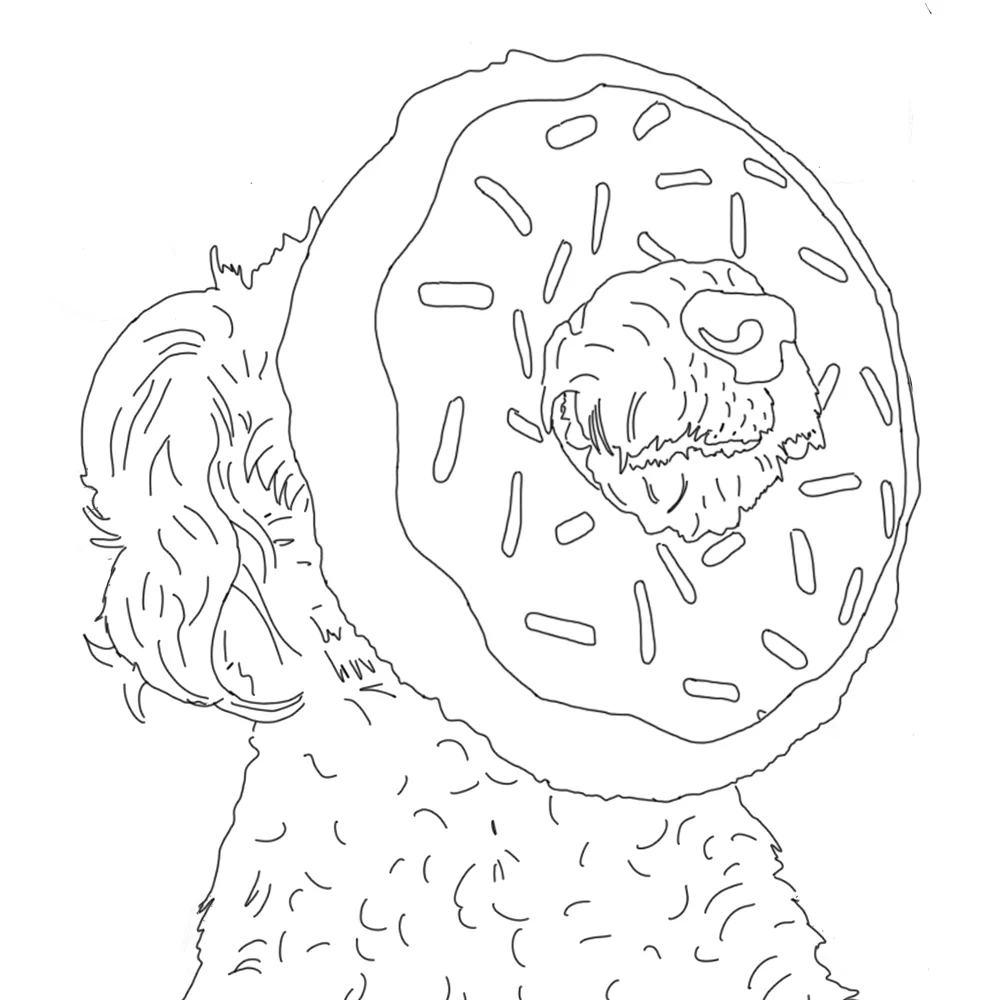 'Color Me Book' Makes Your Instagram Into An Adult Coloring Book ...
