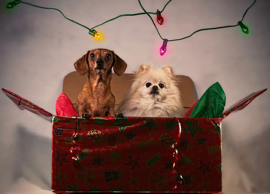 19 Christmas Quotes From Books That Will Put You In