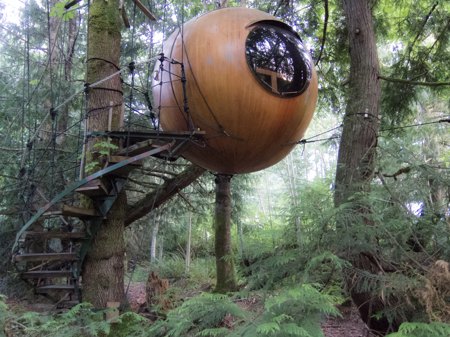 The Coolest Tree Houses in The World: The 13 Most Amazing Homes Living ...