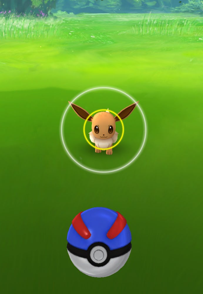 What Do The Different Colored Circles Around The Pokemon Mean?