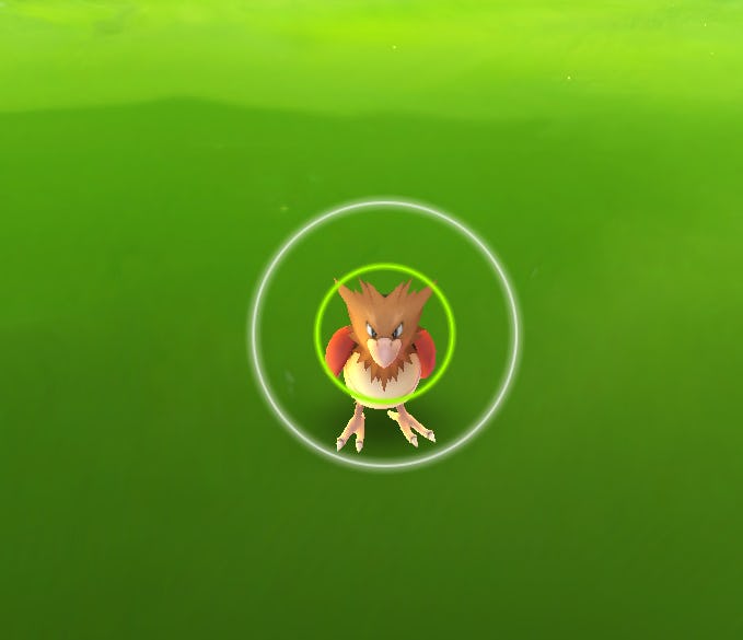 What Do The Different Colored Circles Around The Pokemon Mean?