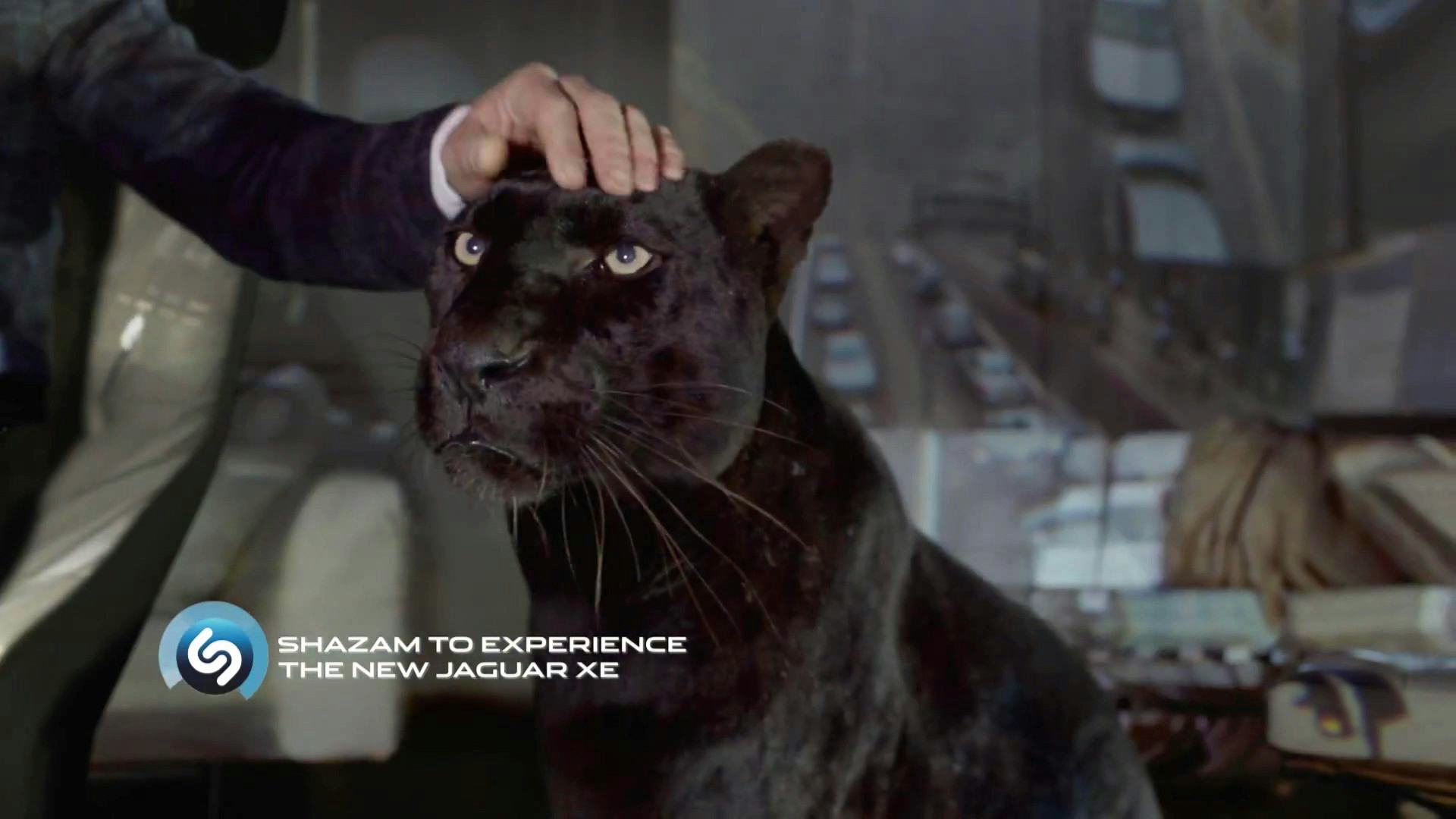 Tom Hiddleston's New Jaguar Commercial Includes Cats, Cars, & Nicholas