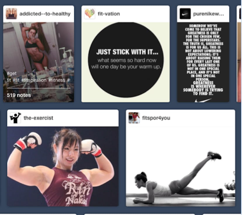 A collage of Instagram posts by addicted-to-healthy, fit-vation, the-exercist, fitspor4you, purenike...