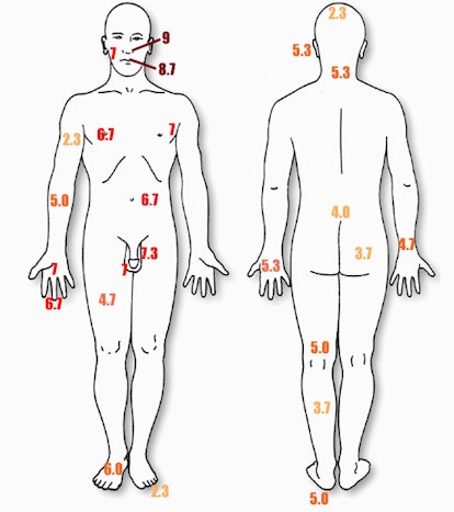 Cornell Student Makes Bees Sting Him 190 Times All In The