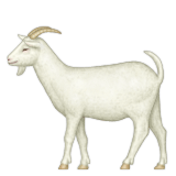 7 Hidden Meanings For Your Favorite Emoji, Because The 'Emojini' Tool